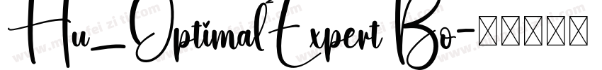 Hu_OptimalExpert Bo字体转换